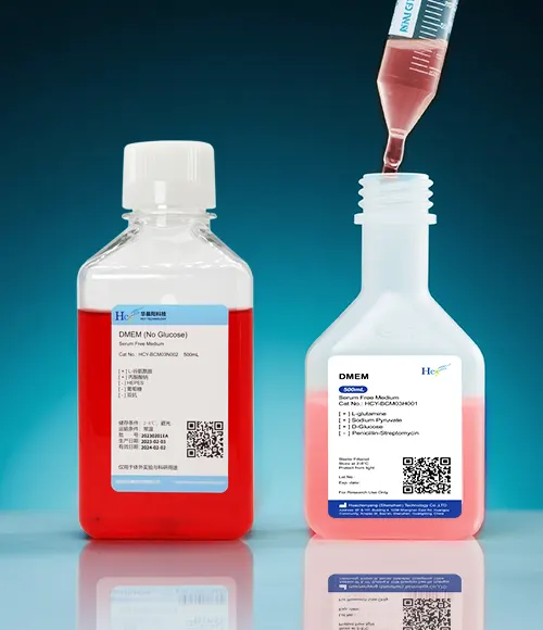 细胞培养基污染了怎么办？快速排查与应急处理技巧（images 1）