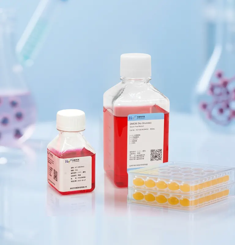 干细胞专用培养基：维持&ldquo;干性&rdquo;与促分化的添加因子清单（images 3）
